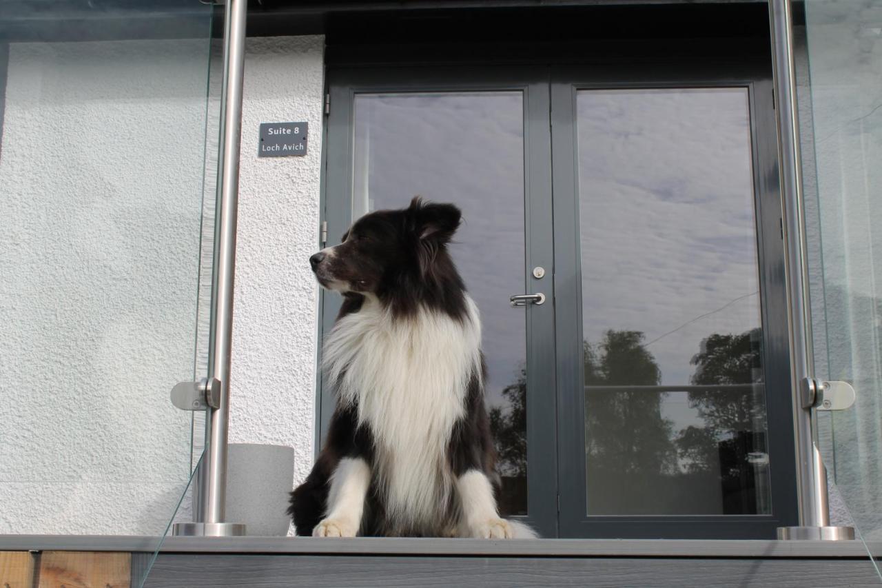 Ben Cruachan Inn - Restaurant, Pub With Rooms Loch Awe 外观 照片